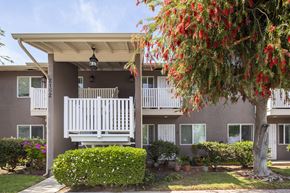 San Diego apartment for rent - a building with a porch and a tree in front of it