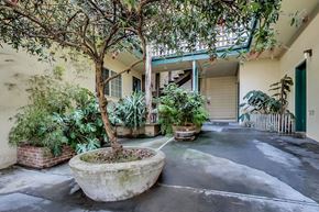 San Francisco apartment for rent - A courtyard with a tree in a concrete pot.