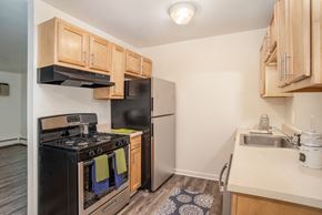 Wyoming apartment for rent - sunflower kitchen 