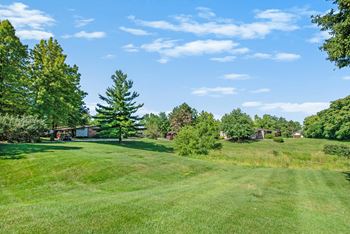 Quiet wooded setting