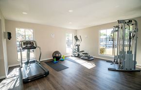 Houston apartment for rent - Fitness center with treadmill and other gym equipment.
