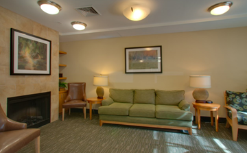 Columbia apartment for rent - a living room with a couch and a fireplace