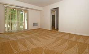 Columbia apartment for rent - an empty living room with a large window and a door to a hallway