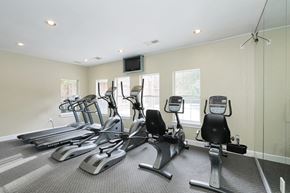 Lawrenceville apartment for rent - the gym is equipped with cardio equipment and windows