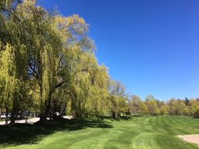 Toronto apartment for rent - Flemingdon Park Golf Club