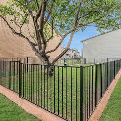 Two bark parks