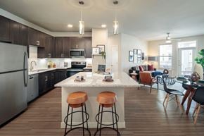 San Antonio apartment for rent - Modern open-concept apartment featuring a spacious kitchen with a large island, stainless steel appliances, and stylish finishes.
