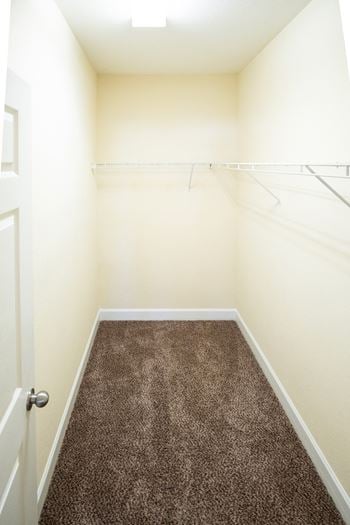 Walk-in closet with wire shelving and carpet