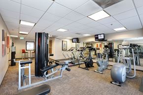San Diego apartment for rent - A gym with a variety of equipment including a treadmill, weights, and a bench press.