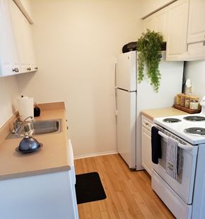 Detroit apartment for rent - a kitchen with a stove refrigerator and a sink