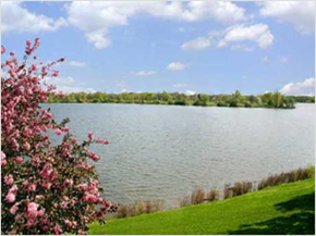 Pontiac apartment for rent - a view of a lake with a pink flowering tree