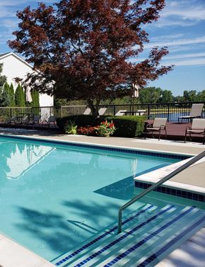 Pontiac apartment for rent - a swimming pool with a tree and some chairs