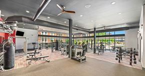 Westminster apartment for rent - A gym with a variety of equipment including a punching bag.