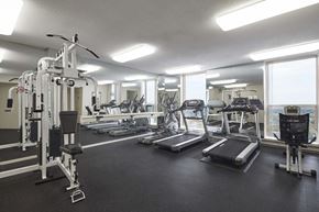 Mississauga apartment for rent - a gym with cardio equipment and windows in a building