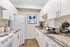 Denver apartment for rent - Mosaic | Denver, CO Apartments | Kitchen