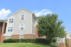 Martinsburg apartment for rent - an apartment building with a tree in front of it