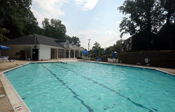 Sparkling swimming pool