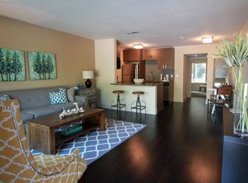 Living room come kitchen