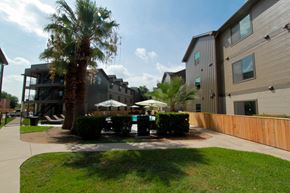 Austin apartment for rent - Courtyard View at The Collection Lady Bird Lake, Texas