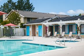 Novato apartment for rent - our apartments have a swimming pool and a patio with chairs