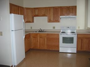 Rochester apartment for rent - an empty kitchen with a stove refrigerator and sink