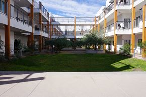 Mesa apartment for rent - the courtyard of an apartment building with grass and trees