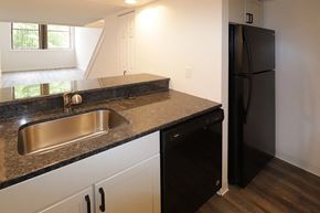 Harrisburg apartment for rent - A kitchen with a black fridge and a sink.