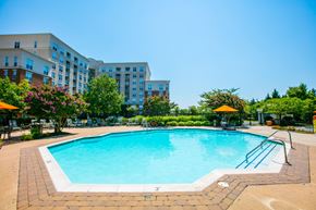 Springfield apartment for rent - Pool View at Springfield Crossing, Springfield, VA