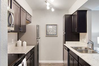 Amenities - stainless steel kitchen appliances