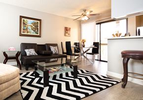Los Angeles apartment for rent - a living room with a black and white rug and a couch