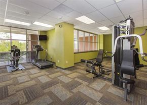 Aurora apartment for rent - a gym with a lot of exercise equipment in it
