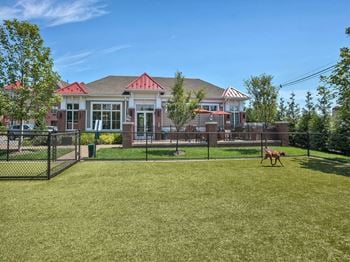 Spacious dog run