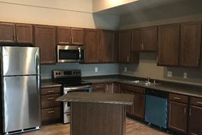 Owatonna apartment for rent - a kitchen with wooden cabinets and stainless steel appliances
