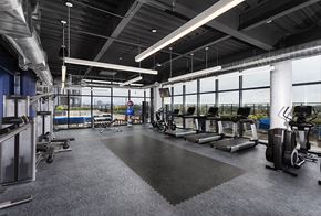 Chicago apartment for rent - Skyline Fitness at Residences at Addison Clark Apartments, Illinois