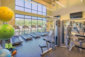 Greenville apartment for rent - a gym with cardio equipment and windows