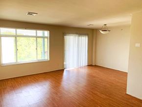 Takoma Park apartment for rent - an empty living room with wood floors and a window