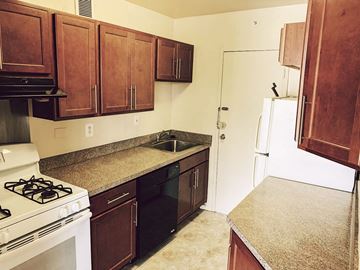 Takoma Park apartment for rent - a kitchen with a stove sink and refrigerator