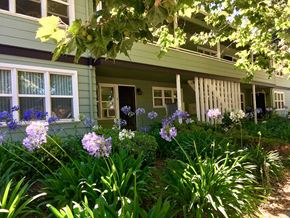 San Jose apartment for rent - First Street Manor Apartments Prodesse Property Group530 North 1st StreetSan Jose, CA 95112
