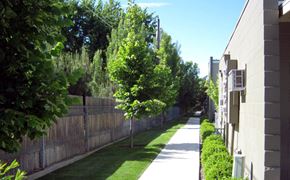 Boise apartment for rent - a yard with a fence and trees and a sidewalk