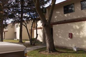 Boise apartment for rent - a white house with trees in front of it