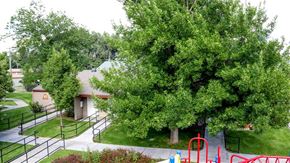 Idaho Falls apartment for rent - a park with a playground and trees