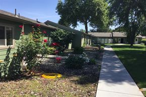 Lewiston apartment for rent - a sidewalk in front of a house with plants and flowers