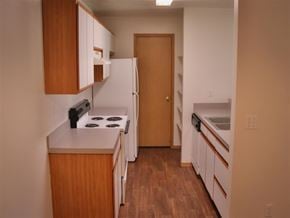 Mountain Home apartment for rent - a kitchen with a stove and a refrigerator