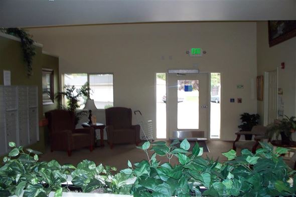 Lewiston apartment for rent - a living room with a couch and chairs and plants