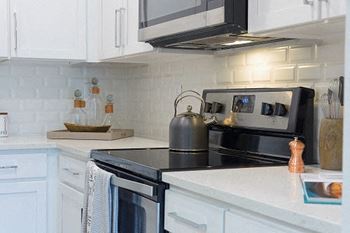 Echo at north pointe apartments kitchen