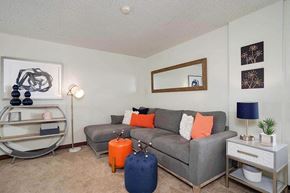 N. Tonawanda apartment for rent - a living room with a couch and a suitcase