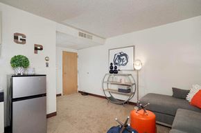 N. Tonawanda apartment for rent - a living room with a couch and a refrigerator