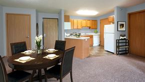 Rochester apartment for rent - Essex Park_Model Apartment Living room and kitchen