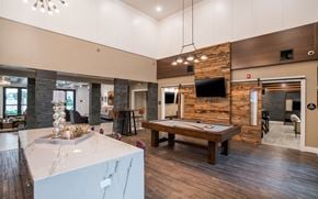 Riverview apartment for rent - Billiards at Palms at Magnolia Park in Riverview, FL