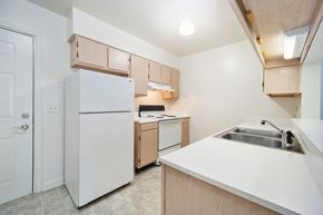 King apartment for rent - villa trace kitchen 